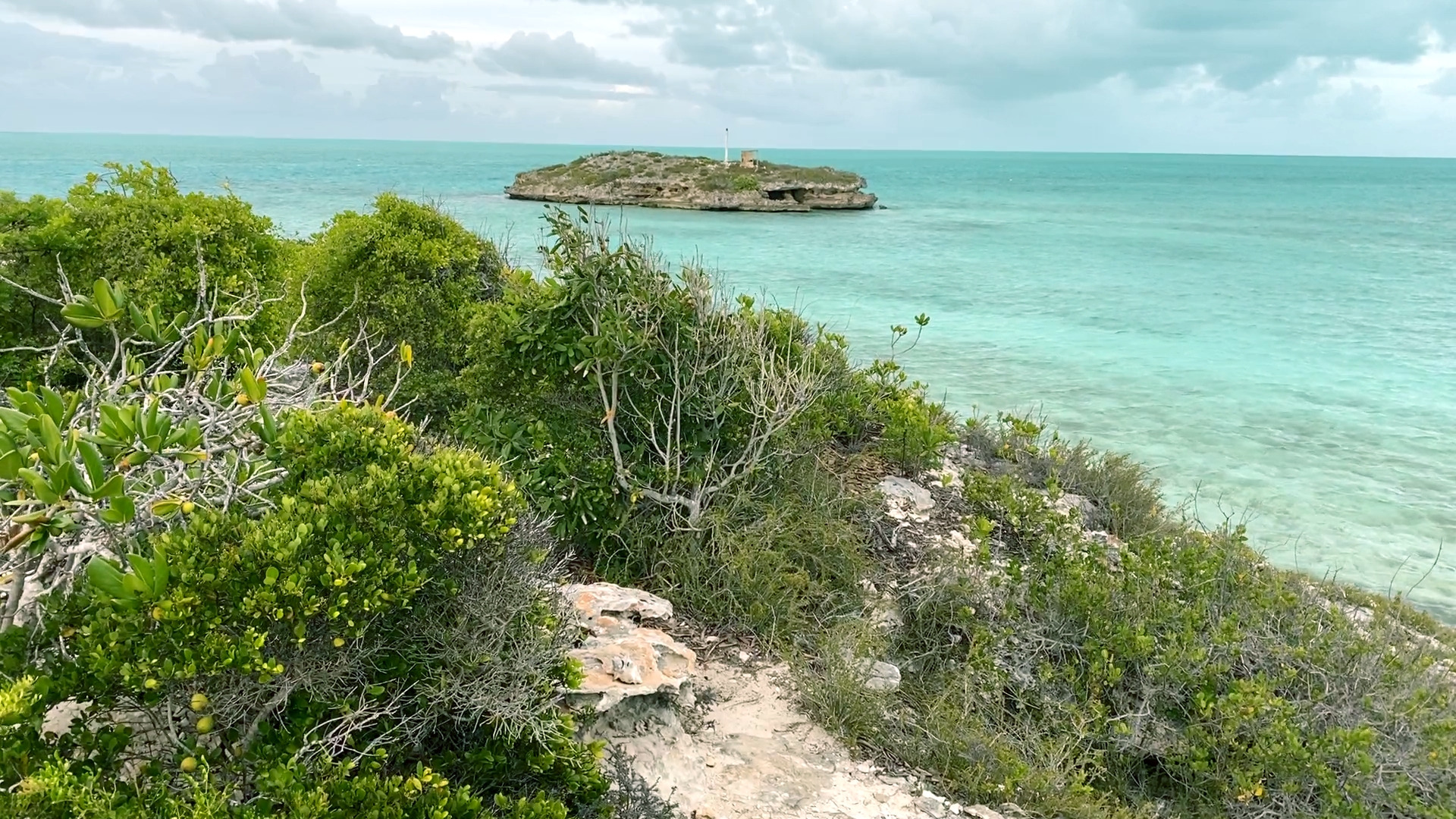 Bird Walk Trail, Providenciales