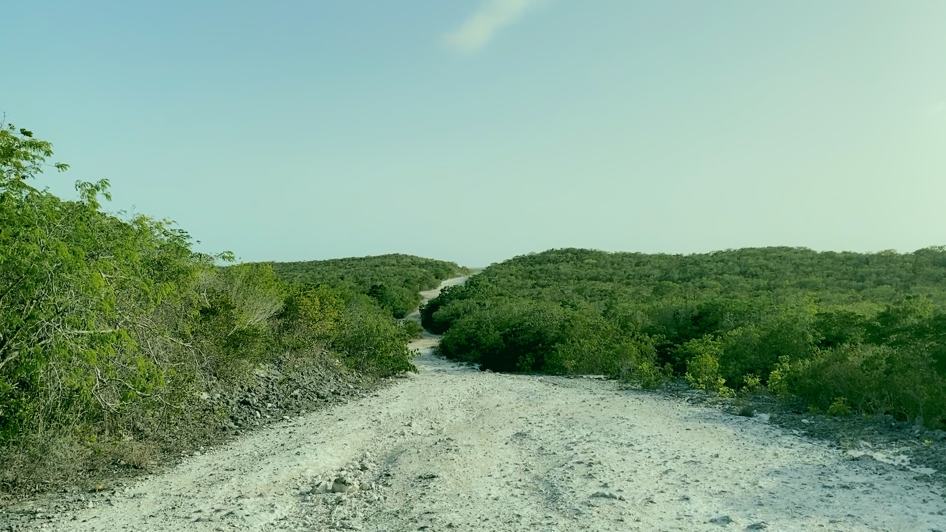Unpaved road to a beach 