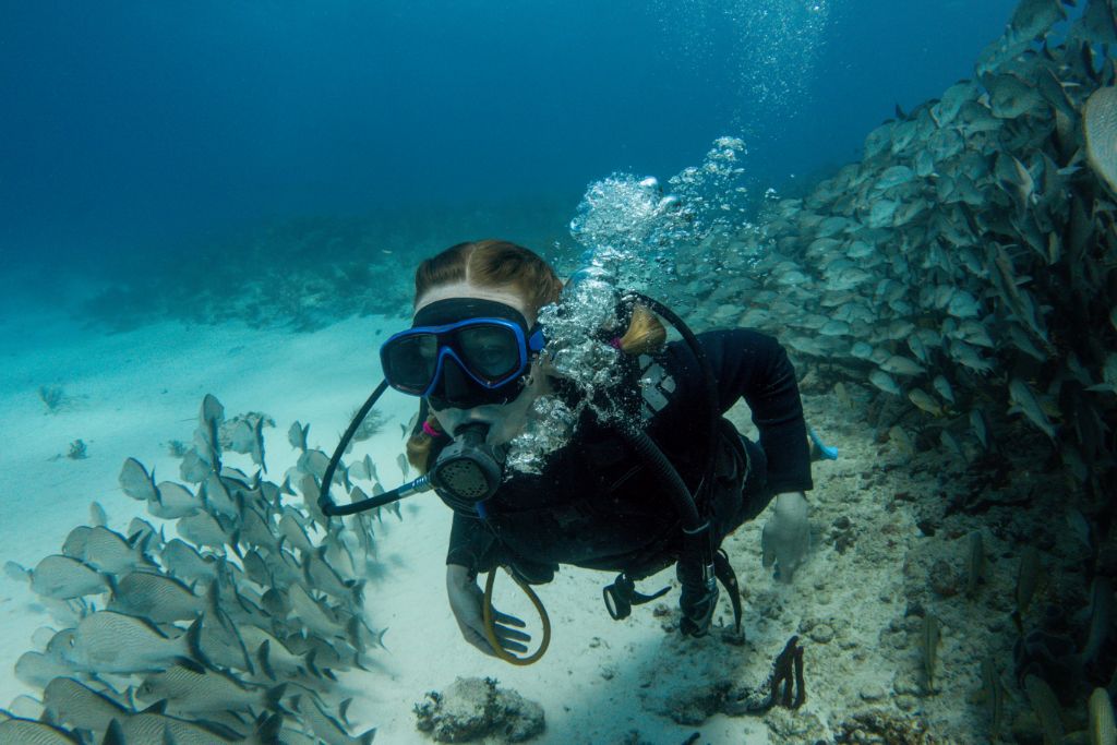 Diver among a school of fish in the Caribbean