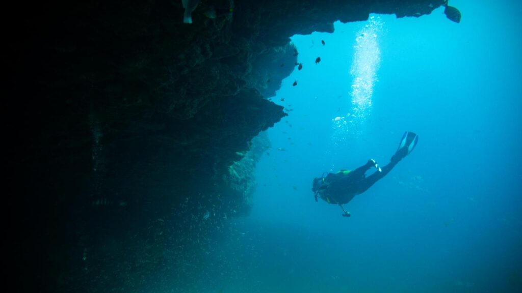 Diver near a wall.