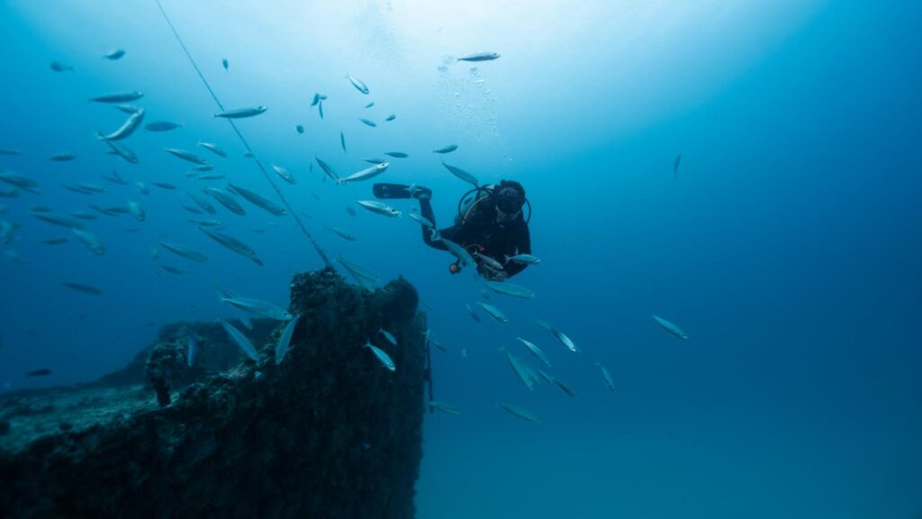 A female diver over a sunken ship