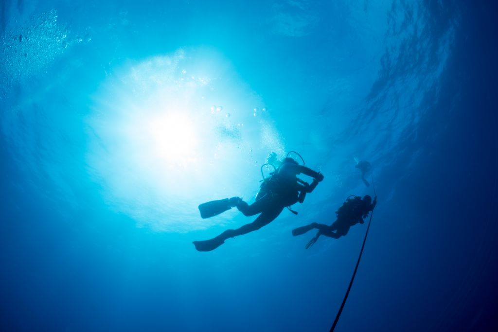 Divers ascending an anchor line in a tropical sea